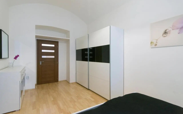 Spacious apartment near Wenceslas Square