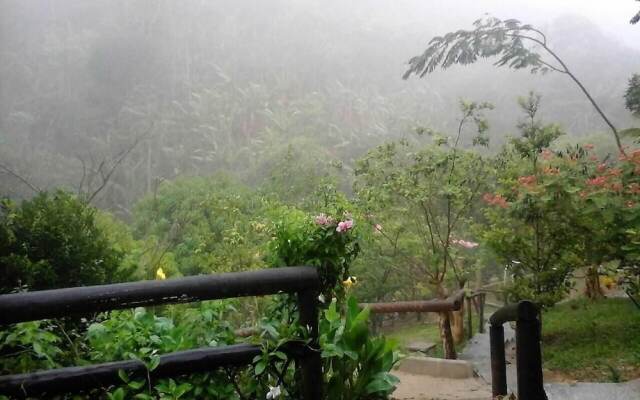 Saira Recanto de Serra