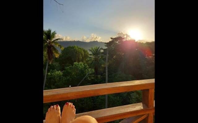 Great Palm View - Apartment 3 in Villa Coconut