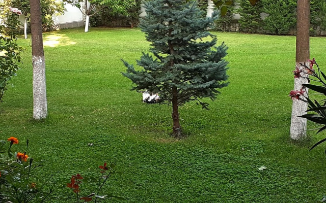 Семеен хотел Къща Тодорови