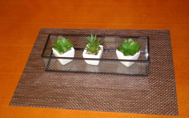 Rooms and Apartment Nike