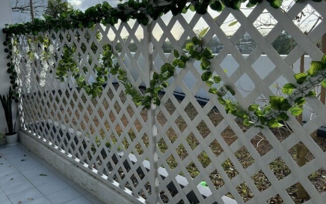 Executive 3Bedroom Palladium17