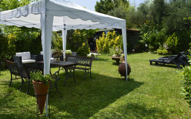 Villaggio Naif Mimosa