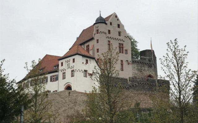 Panorama-Schloßberg