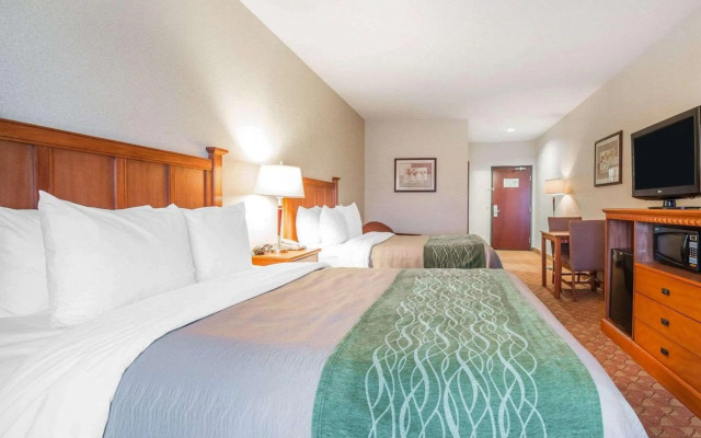 Comfort Inn & Suites Las Vegas - Nellis
