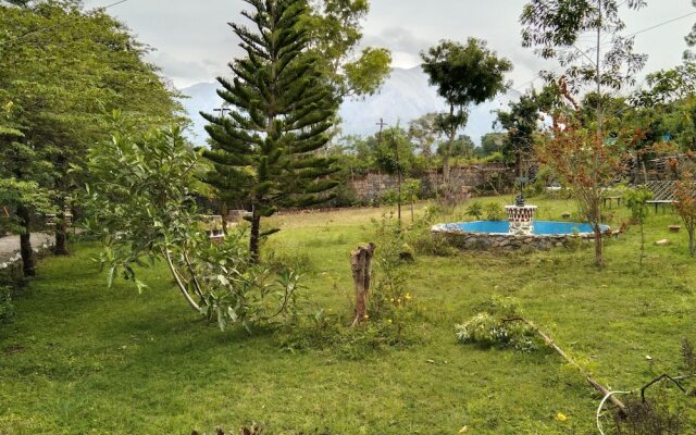 The Big Cat Den Resort