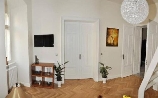 Luxury Apartment Novobranska