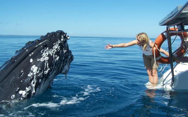 Kingfisher Bay Resort