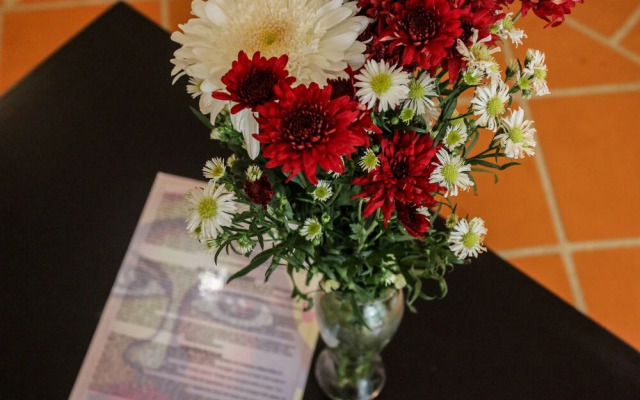 Viva Maria Apartments