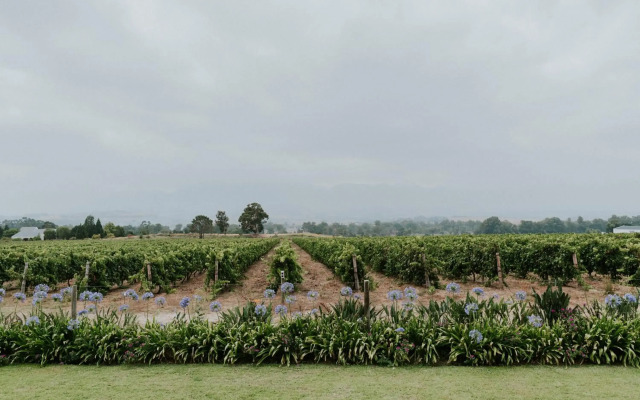 CANA Vineyard Guesthouse