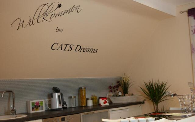 CATS Dreams