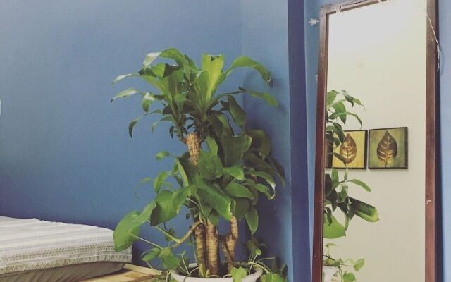 Lapaz Homestay Da Nang