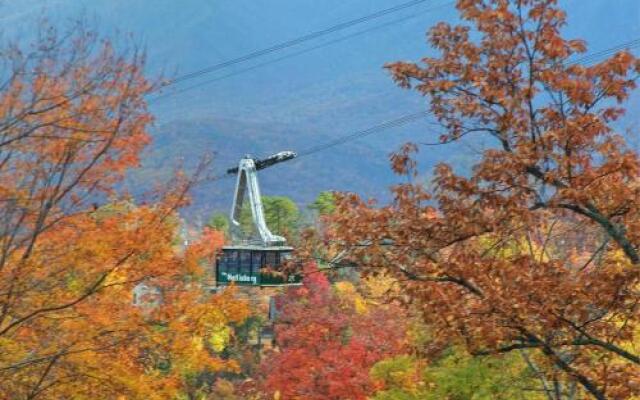 Moonshiners View in Sevierville