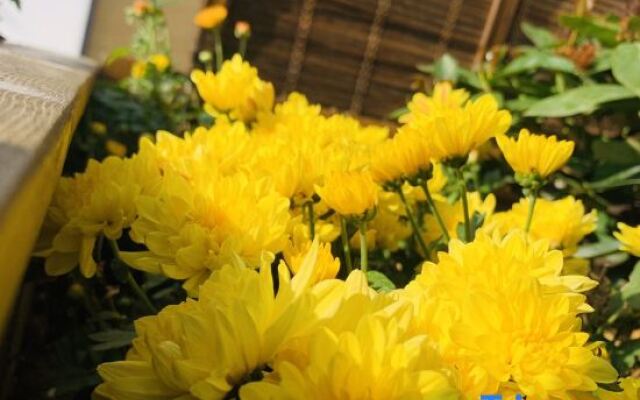 Xihai Yanshan Homestay