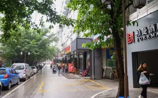 Borrman Hotel (Zigong WuXingJie Lantern Park Store)