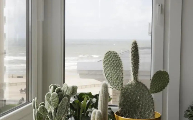 Spacious family flat near the beach (6-8 pers)