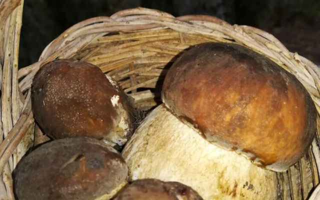 Agriturismo La Vedetta dei Nebrodi