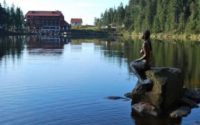 Berghotel Mummelsee