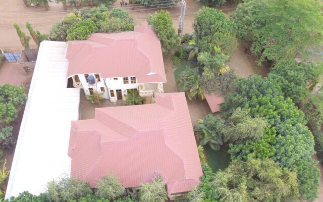The Paradise In Backpackers