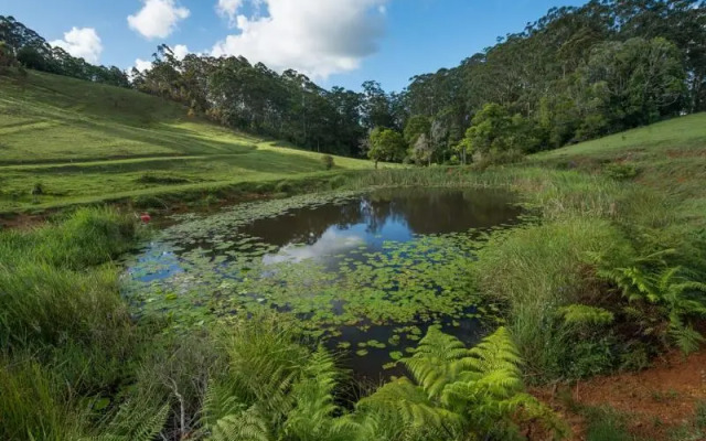 Watersmeet Homestead