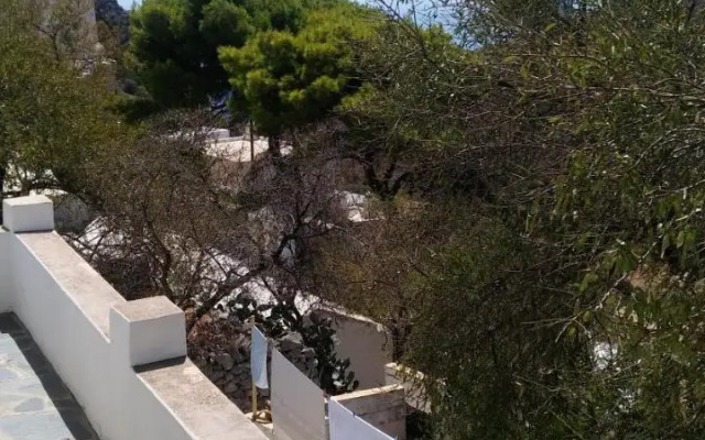 The large bougainvillea house