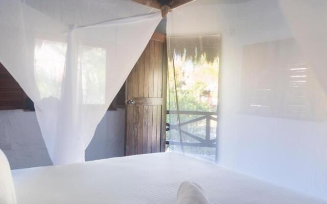 Blue Holbox