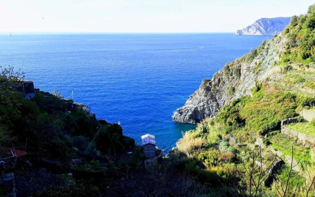 Arbanella