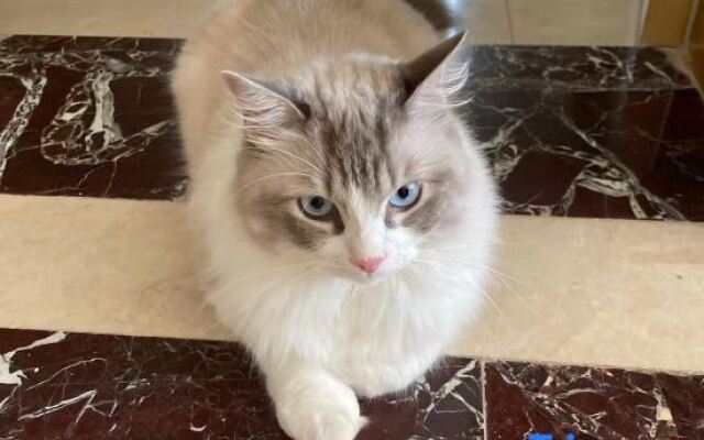 Xiaxi Zuo'an Homestay