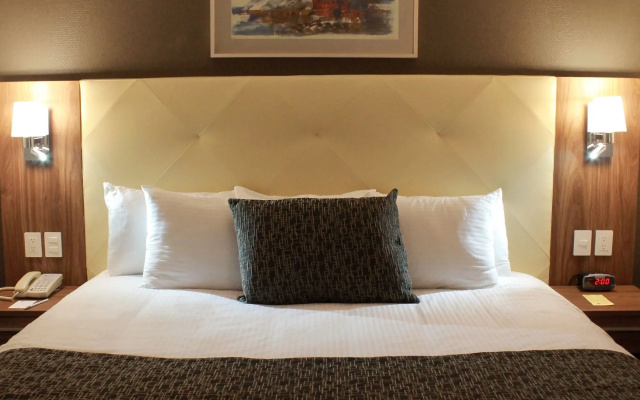 Hotel Casa Inn Business Irapuato