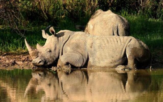 Waterberg Wilderness