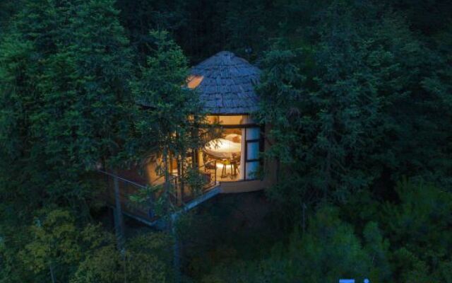 Forest homestay at sunrise