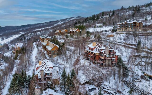 Algonquin by RVMT