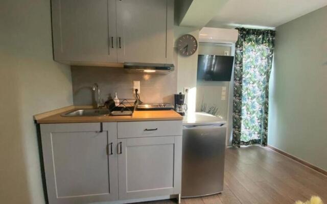 Rooftop Apartment With Garden in Ioannina
