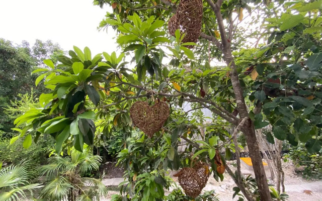 Casa Kuaan Mani TH 1