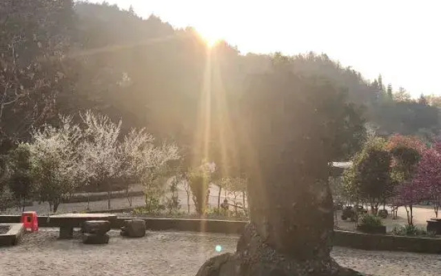 Xishan Yunshe (Zhangjiajie Forest Park Scenic Area)