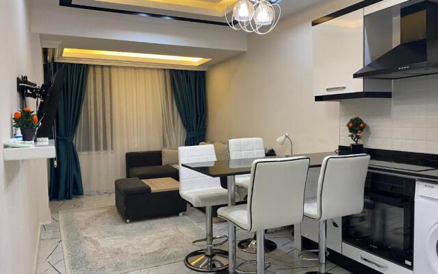 1+1 new cozy apartment in the Center of Alanya.