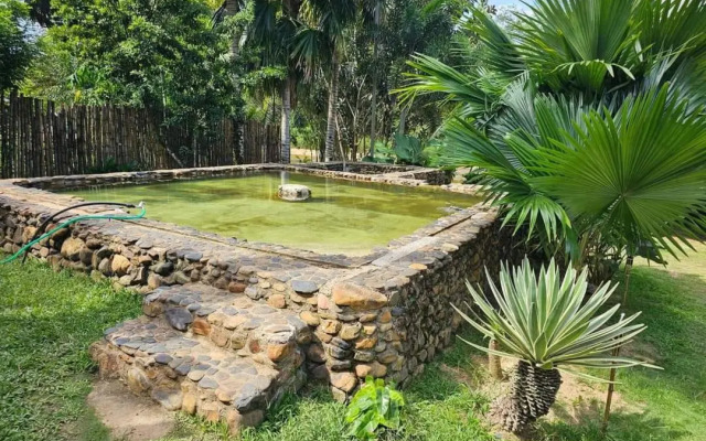 Riverside Palm Inn Sg Lembing