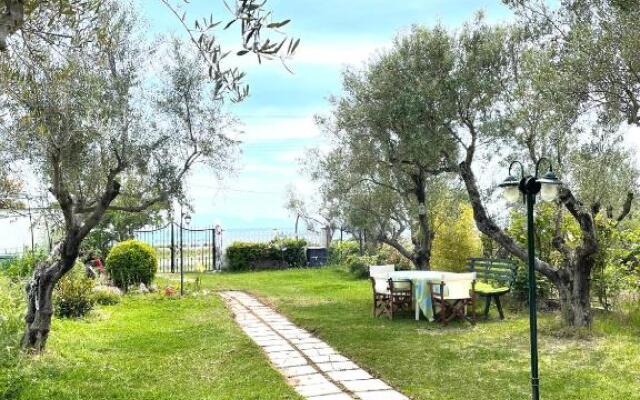 Summer House