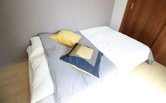 Saint Paulia Osaka Castle