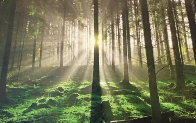 Ferienwohnung am Goethepark im Leipziger Neuseenland