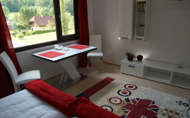 W & S Executive Apartments - Obertraun