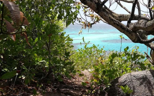 Apartamento Mango Tree