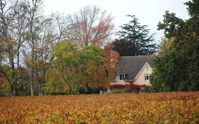 Belfield Wines and Farm Cottages