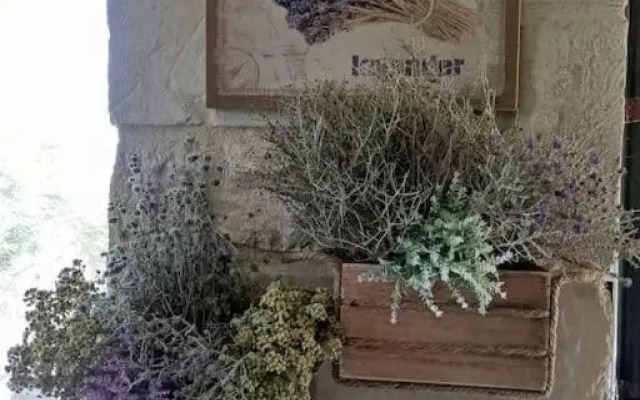 Olive Land - Γη Της Ελιας / Stone Villa.