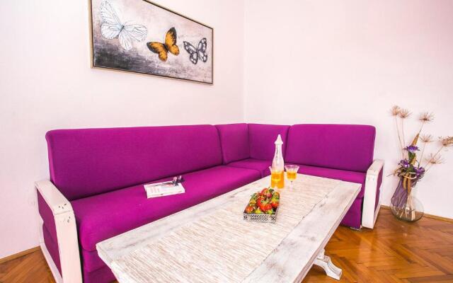 Apartment Liatris