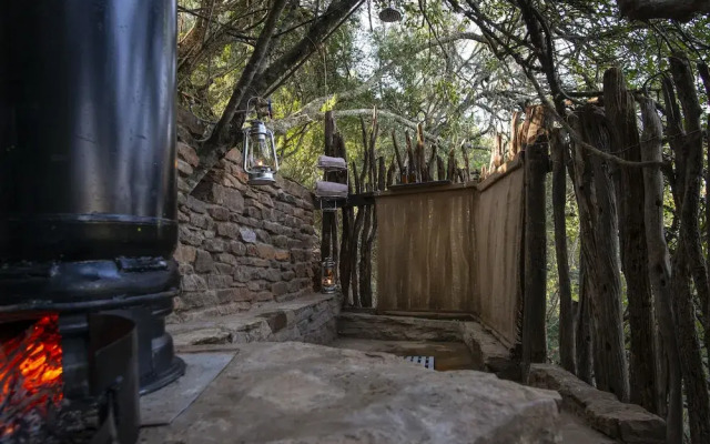 Stargazer Camp - Bellevue Forest Reserve