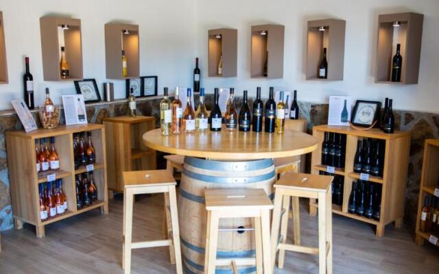 Domaine de la Navicelle - Oiseaux 1