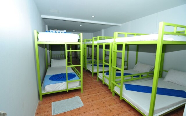Phi Phi Backpacker - Hostel