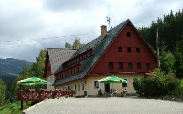 Hotel Alpina