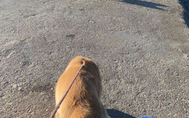 Sanya Lutu Lovers Homestay (Wuzhizhou Island Houhaicun Branch)